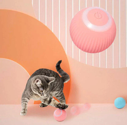 Pet Interactive Ball