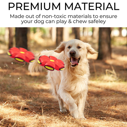 Toytails™ Dog Frisbee