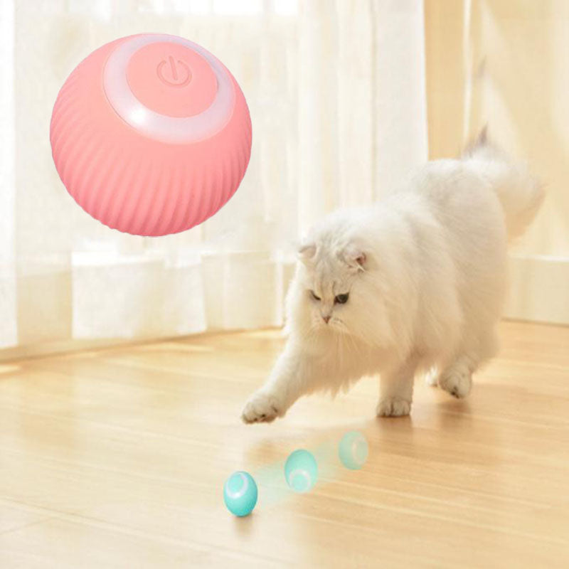 Pet Interactive Ball