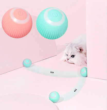 Pet Interactive Ball