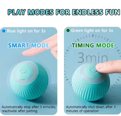 Pet Interactive Ball